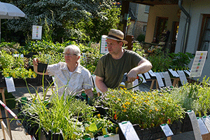 Herr Roth von Biogartenmobil mit seinen Kräutern